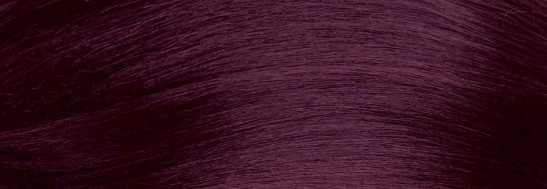 2RB Bigen Easy Color for Women Burgundy