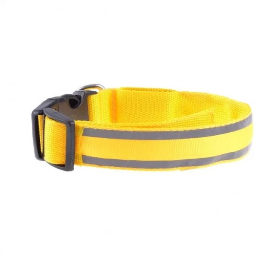 Glow LED Dog Collar | Yellow