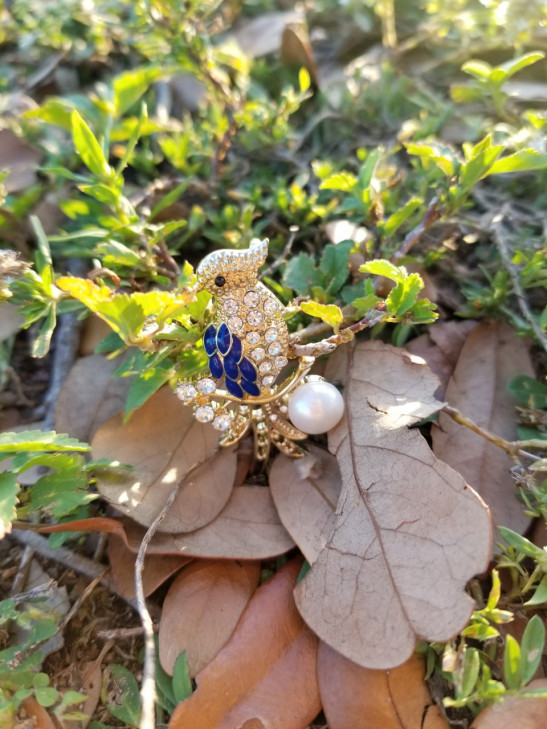 embellish bird brooch