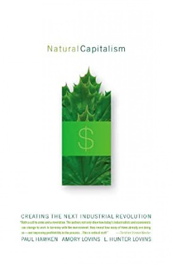 natural capitalism: creating the next industrial revolution 1st edition