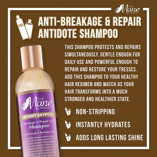 the mane choice ancient egyptian anti-breakage & repair antidote shampoo| 8 oz