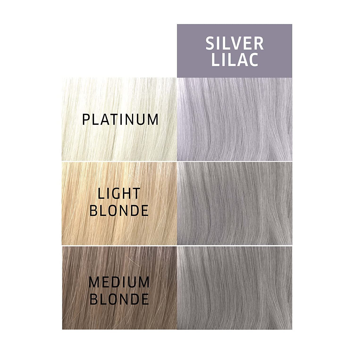 Silver Lilac