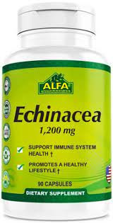 Alfa Vitamins Echinacea 1,200 Mg – 90 Capsules