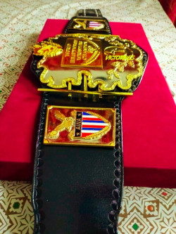 AWA World Heavyweight Wrestling Title Championship Belt Deep Etching 5MM NEW