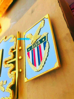 AWA World Heavyweight Wrestling Title Championship Belt Deep Etching 5MM NEW