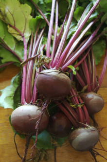 Fresh Beets sold by pound