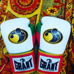 Boxing glove  grant