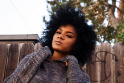 Organic Amla Powder | Ayurvedic Hair Remedy