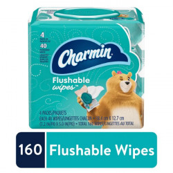 Charmin Flushable Wipes 4-PACK, 160 Total