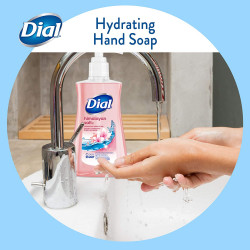 Dial Liquid Hand Soap, Himalayan Pink Salt & Water Lily