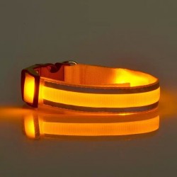 Glow Led Light Dog Collar | Golden