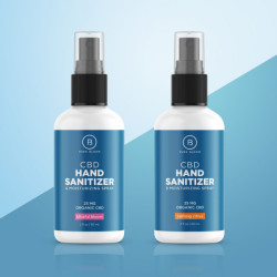CBD Hand Sanitizer & Moisturizing Spray, Blissful Bloom
