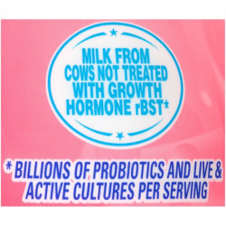 El Mexicano Saborico Strawberry Yogurt Drink 28 fl. oz. Bottle