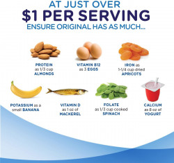 Ensure Original Nutrition Shake with Fiber, Small Meal Replacement Shake, Complete, Balanced Nutrition with Nutrients to Support Immune System Health, Vanilla, 8 fl oz, 24 Count