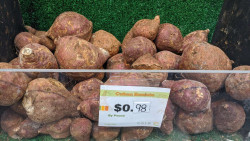 Fresh Boniato (Cuban Or Tropical Sweet Potato) , Sold By The Pound