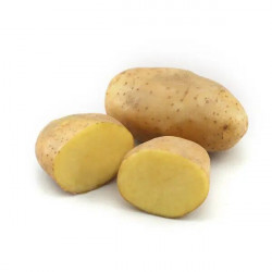 Fresh Produce Potato Loose sold by pound