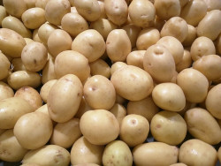 Fresh Produce Potato Loose sold by pound