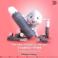 Frontrow Dynamic Duo BB+CC Hubrid Stick with SPF 50 | Shade 00