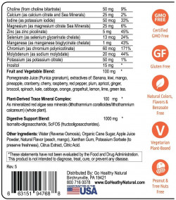 Go Healthy Natural Kids Liquid Multivitamin Organic Folate Vegetarian Plant-Based Whole Food- 32 Servings