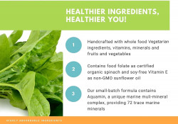 Go Healthy Natural Kids Liquid Multivitamin Organic Folate Vegetarian Plant-Based Whole Food- 32 Servings