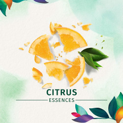 Herbal Essences Body Envy Volumizing Mousse 6.8 oz