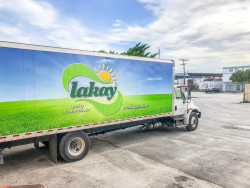 lakay lemon blend from concenrate greal for cooling