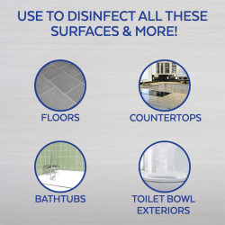 Lysol Clean and Fresh Multi-Surface Cleaner Lemon Sunflower Scent 48 oz.