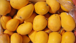 Mango Sold by pound