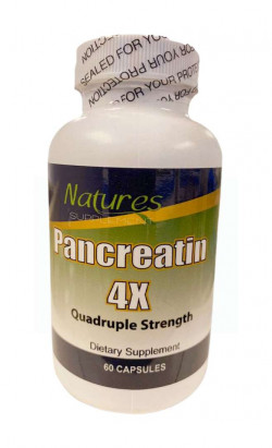 Natures Dietary Supplement Pancreatin 4X Quadruple Strength