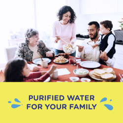 Nestle Pure Life Purified Water
