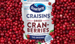 Ocean Spray Craisins Original Dried Cranberries 12 Oz
