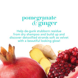 OGX Detoxifying + Pomegranate & Ginger Shampoo