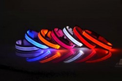Glow LED Light | Dog Collar l Free shipping