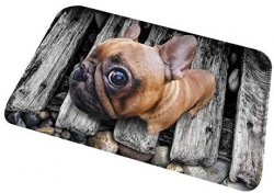 IEnkidu Modern Cute 3D Animal Print Square Shape Non-Slip Home Mat Bathroom Entry Rugs Carpet Mat Puzzle Play Mats