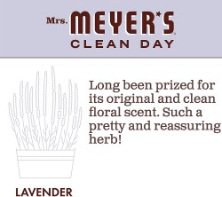 Mrs. Meyer’s  Multi-Surface Everyday Cleaner | 1 Bottle