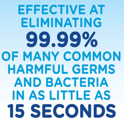 Germ-X Sanitizer, Aloe, 10 Fluid Ounce Bottle