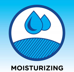 Germ-X Sanitizer, Aloe, 10 Fluid Ounce Bottle