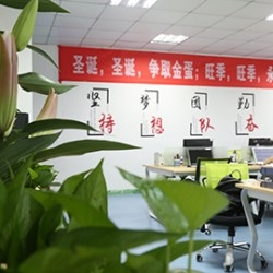 Digital Printed Seamless Womens Yoga Leggings