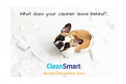CleanSmart Disinfectant Spray -  Great To Clean And Sanitize CPAP Masks, Parts & Air Dry