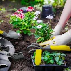 Jardiner Outdoor Gardening Tool Set in Plastic Gardening Box