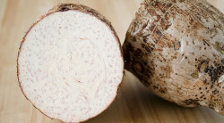 TARO ROOT fresh vegetable sold by pound