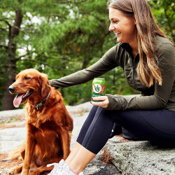 V8 Original Vegetable Juice