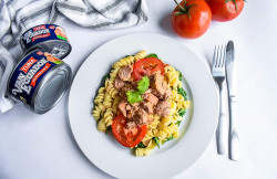 Van Ecuador Tuna in Oil 5.3oz (Pack of 6)