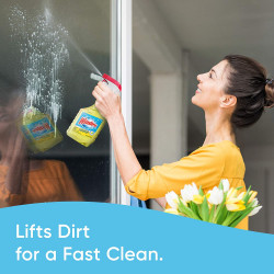 Windex Multi-Surface Cleaner and Disinfectant Spray Bottle, Scent, Citrus Fresh